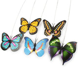 Electric Rotating Colorful Butterfly as Cat Toy
