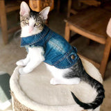 Denim Cat Clothes