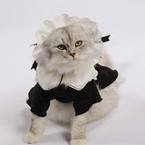 Cat Maid Dress and Hat Set
