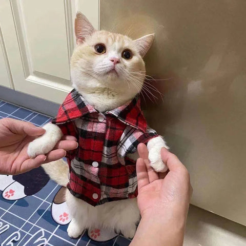 Plaid Cat Shirt