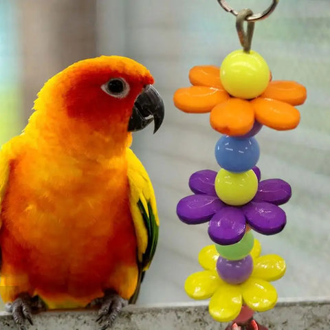 Acrylic Bird Chewing Toy