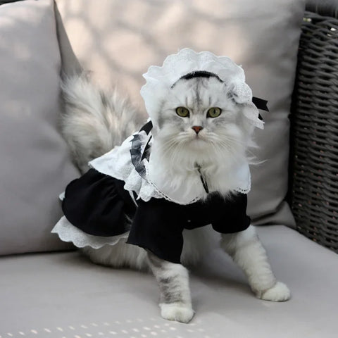 Cat Maid Dress and Hat Set